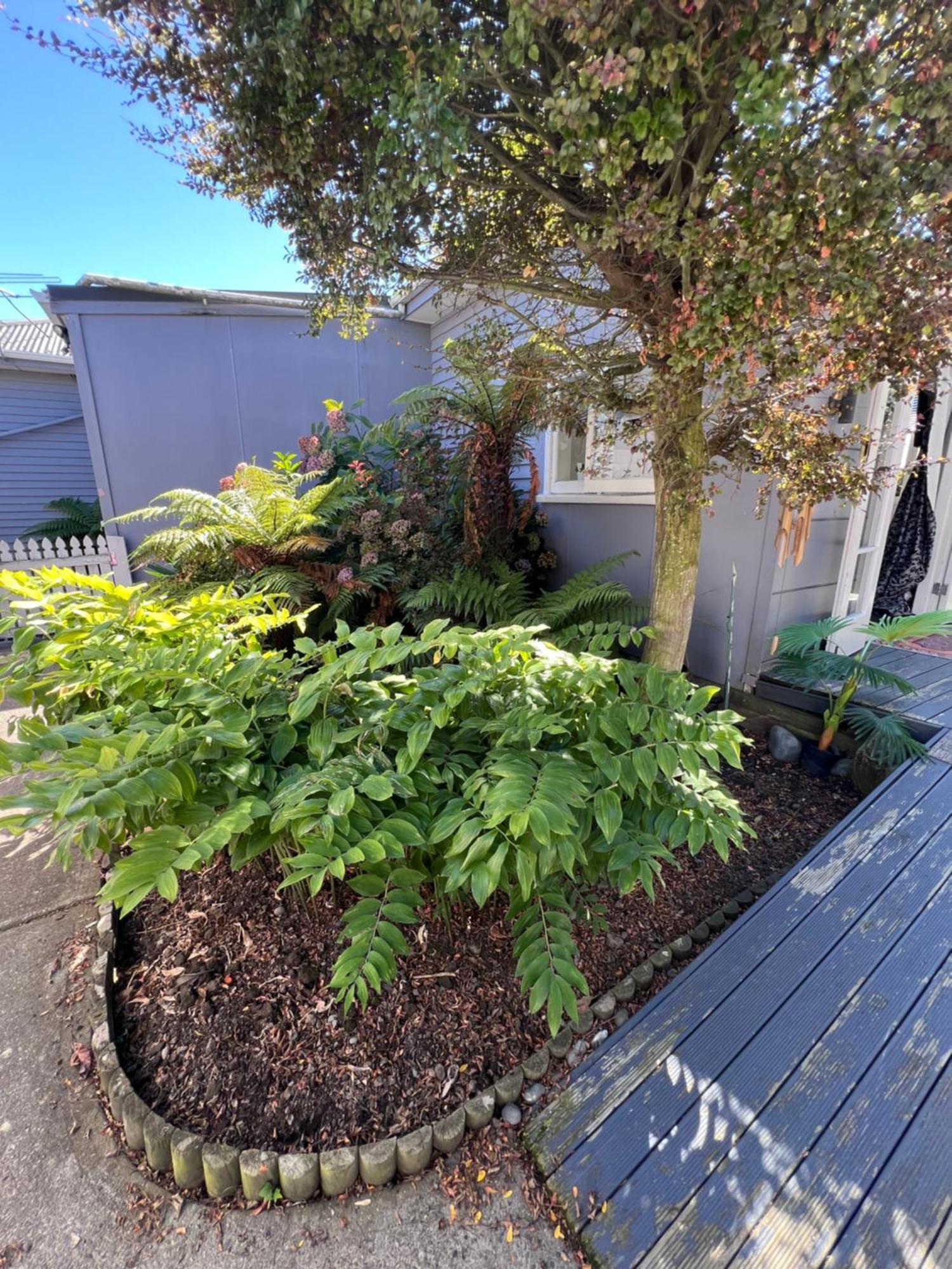 Gorgeous Villa, 7 Minutes From Airport Christchurch Exteriér fotografie